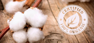 Cotone organico